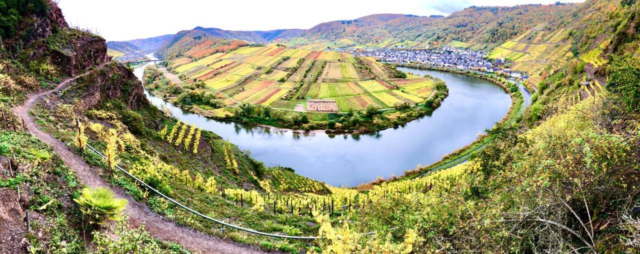 科布倫茨Haus Am Ufer Mit Rheinpanoramablick公寓 外观 照片