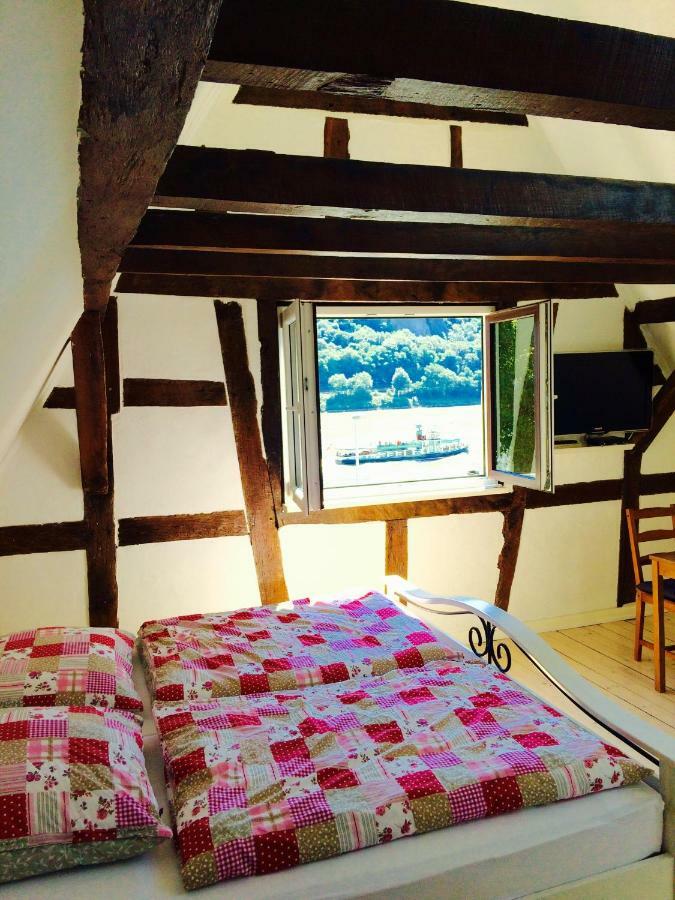 科布倫茨Haus Am Ufer Mit Rheinpanoramablick公寓 外观 照片
