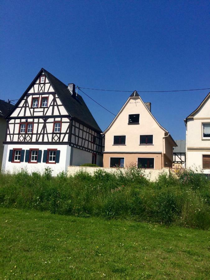 科布倫茨Haus Am Ufer Mit Rheinpanoramablick公寓 外观 照片