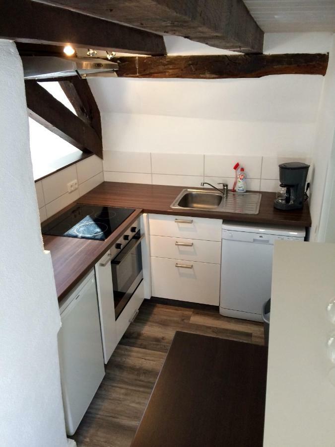 科布倫茨Haus Am Ufer Mit Rheinpanoramablick公寓 外观 照片
